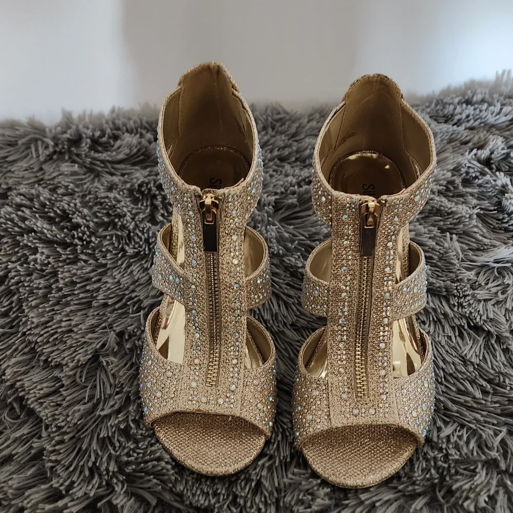 Beautiful Silver Slipper - Picture 1 of 5